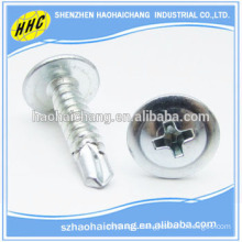 High quality stainless steel phillips drivers self drilling screw made in China